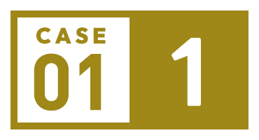 CASE01-1