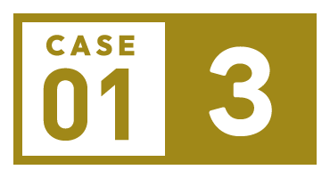 CASE01-3