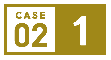 CASE02-1