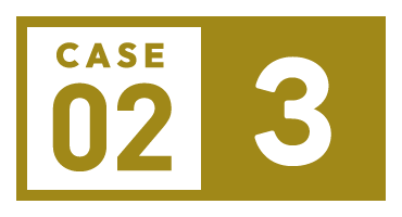 CASE02-3